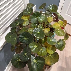 Meet your Posher, Gabriella